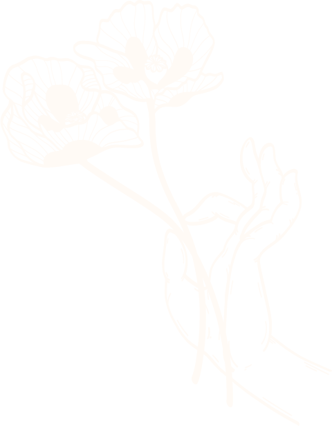 Illustration Wildblume